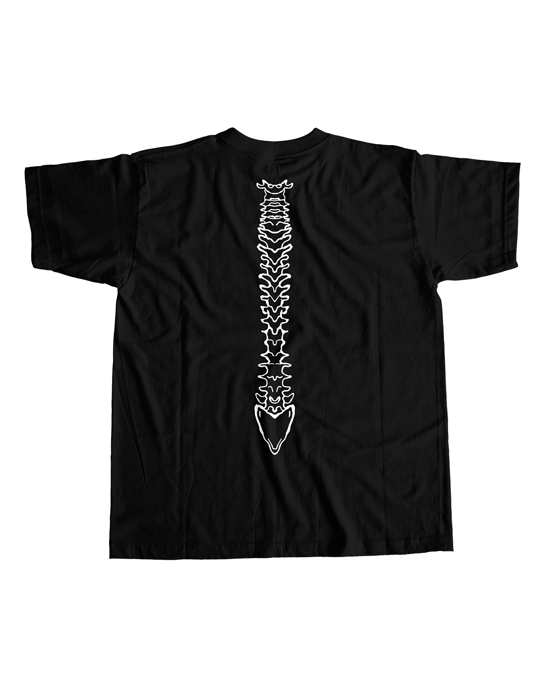 Bones